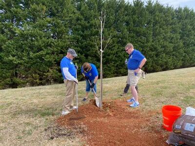 Skyland Tree Planting